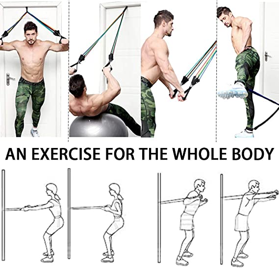 Exercises for the whole body